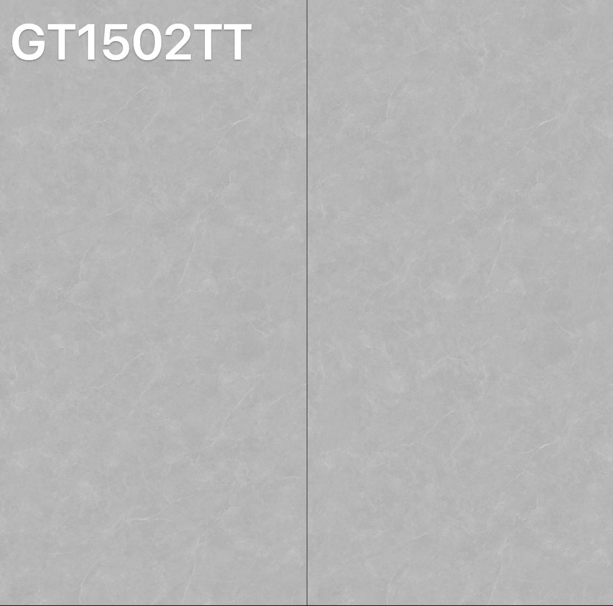 GT1502TT