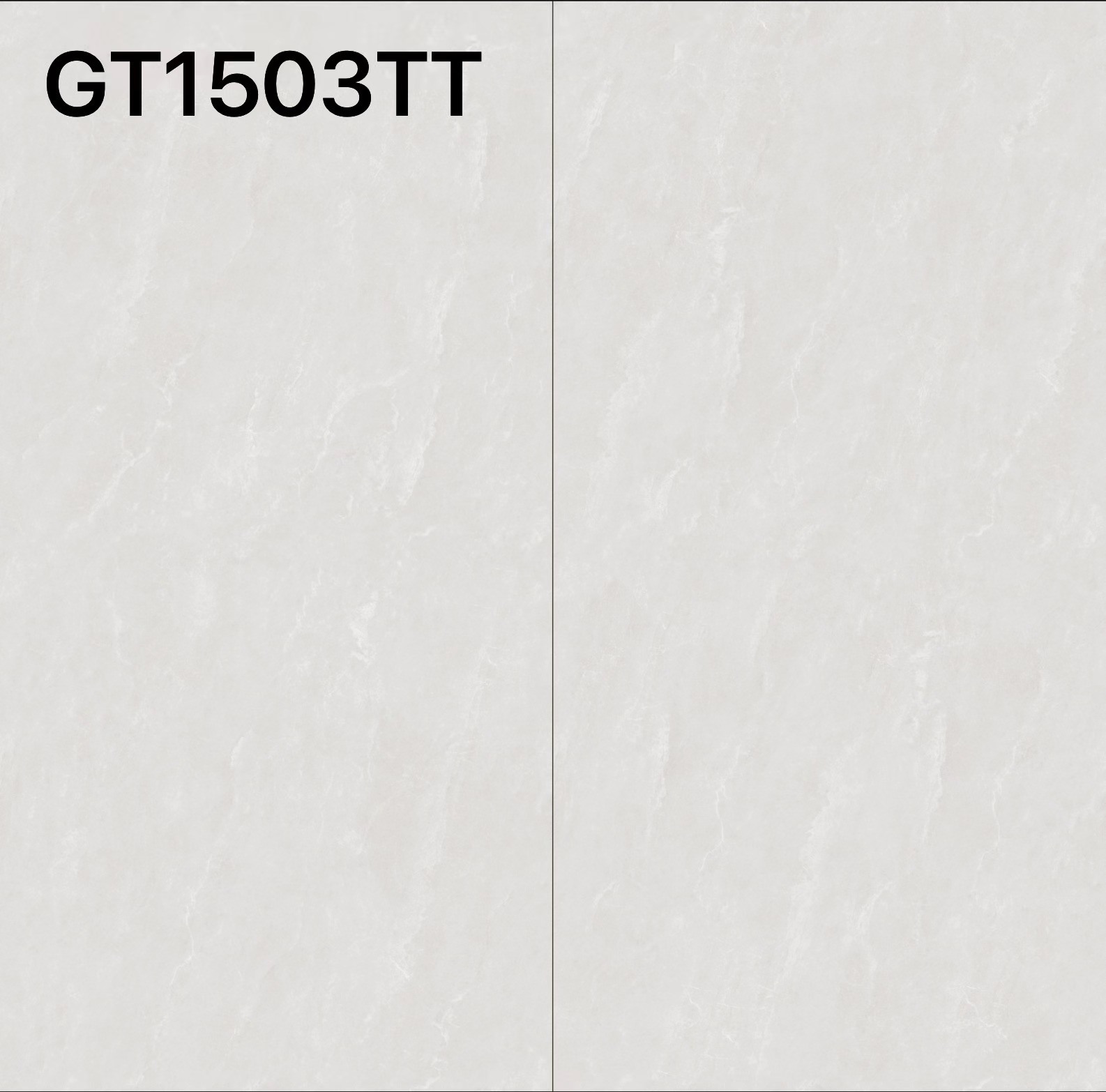 GT1503TT
